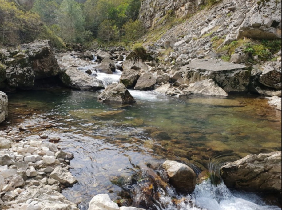 Пойманная рыба